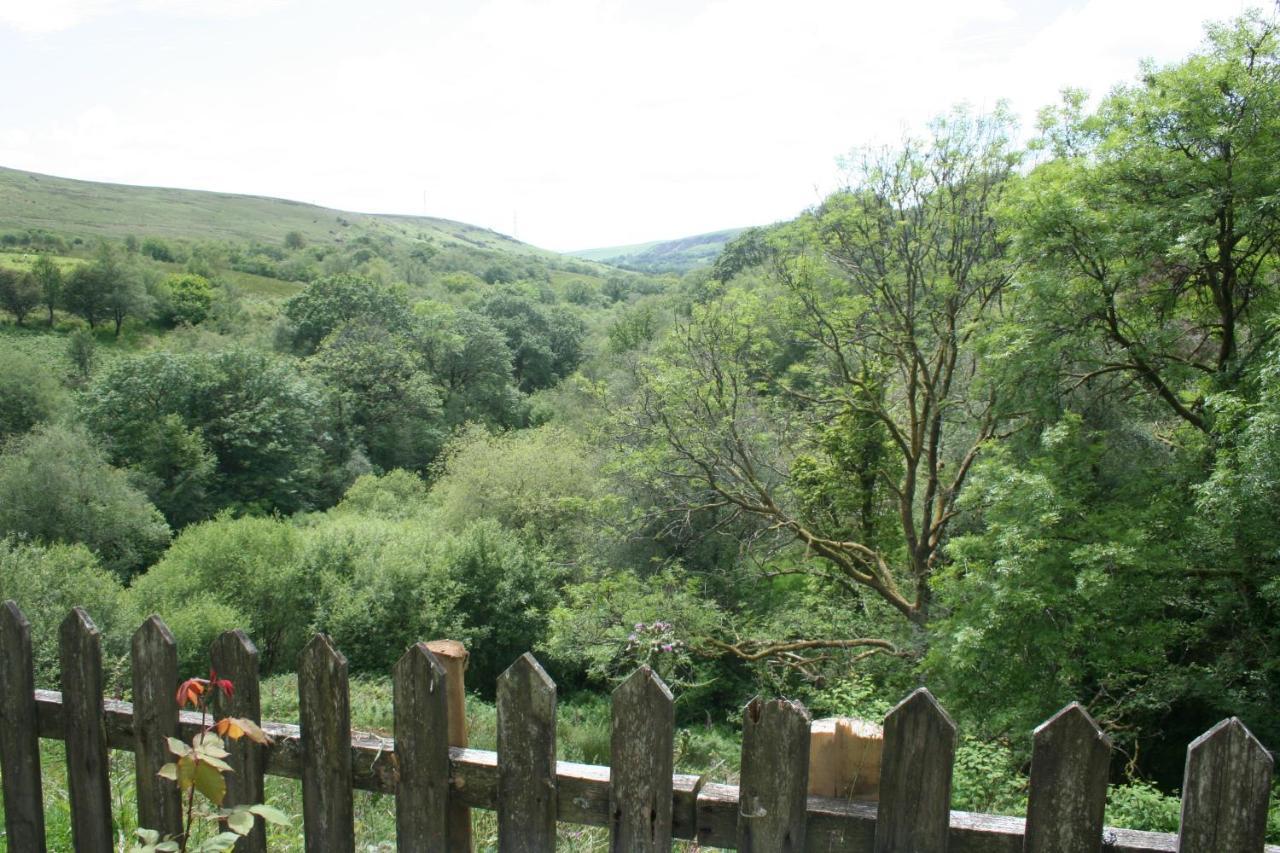 Coynant Farm Guesthouse - Farm Park Stay Swansea Exterior foto